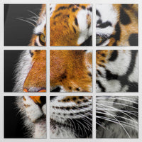AL-240Z240