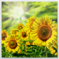 AC-090W090