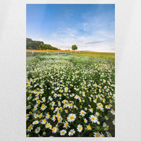PO-040W060