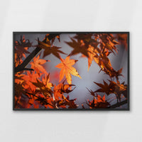 LWB120W080