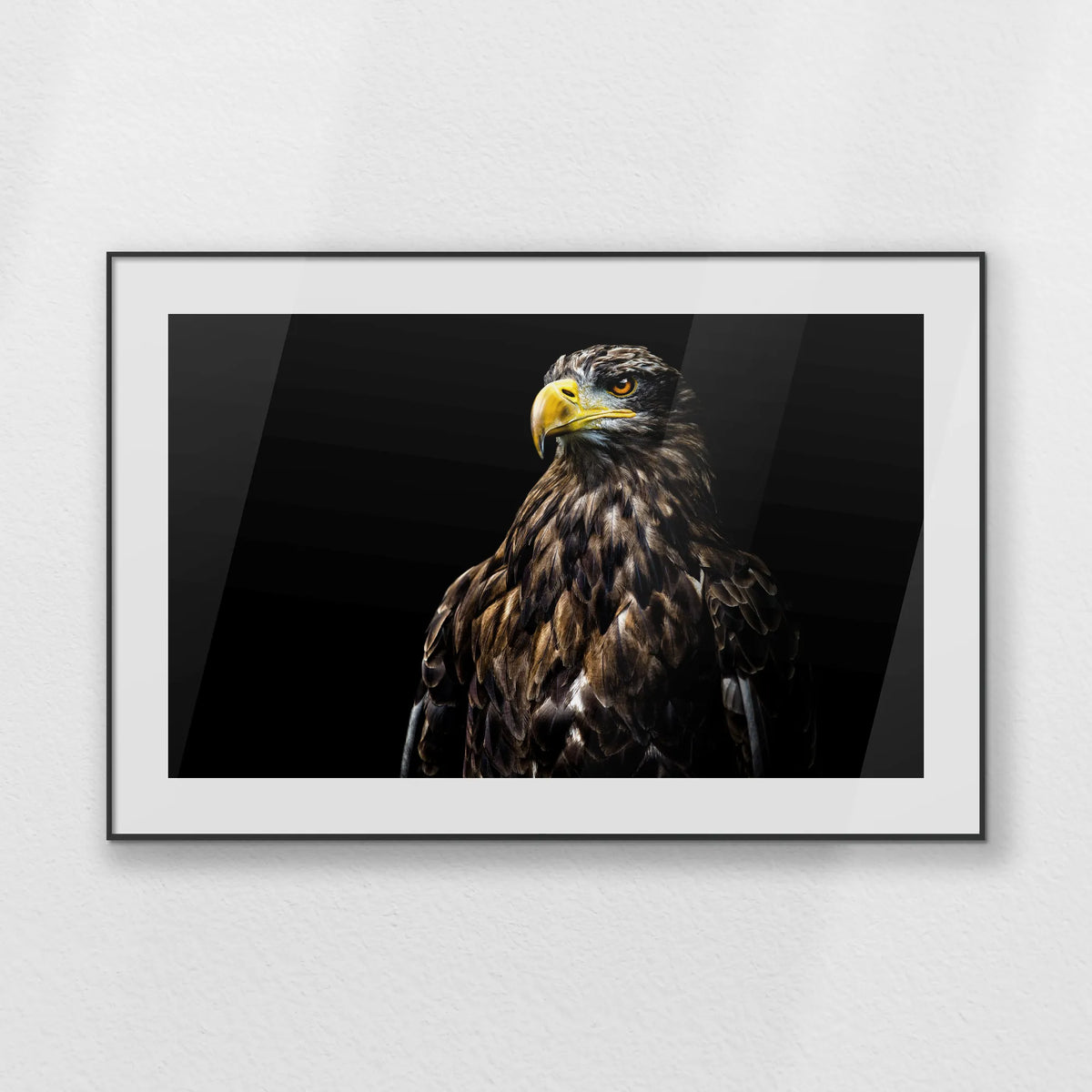 PBP120W080