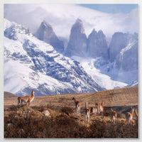 AL-080W080