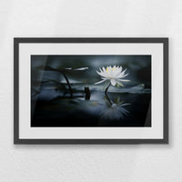 PKP060W040