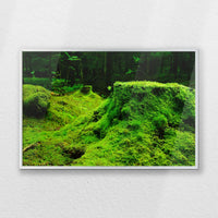 PS-060W040