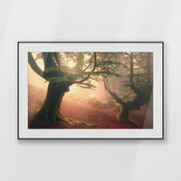 PBP120W080
