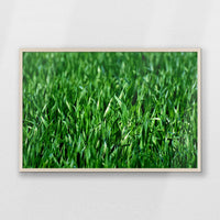 PN-093W062
