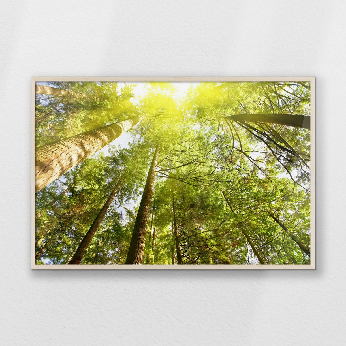 PN-100W070