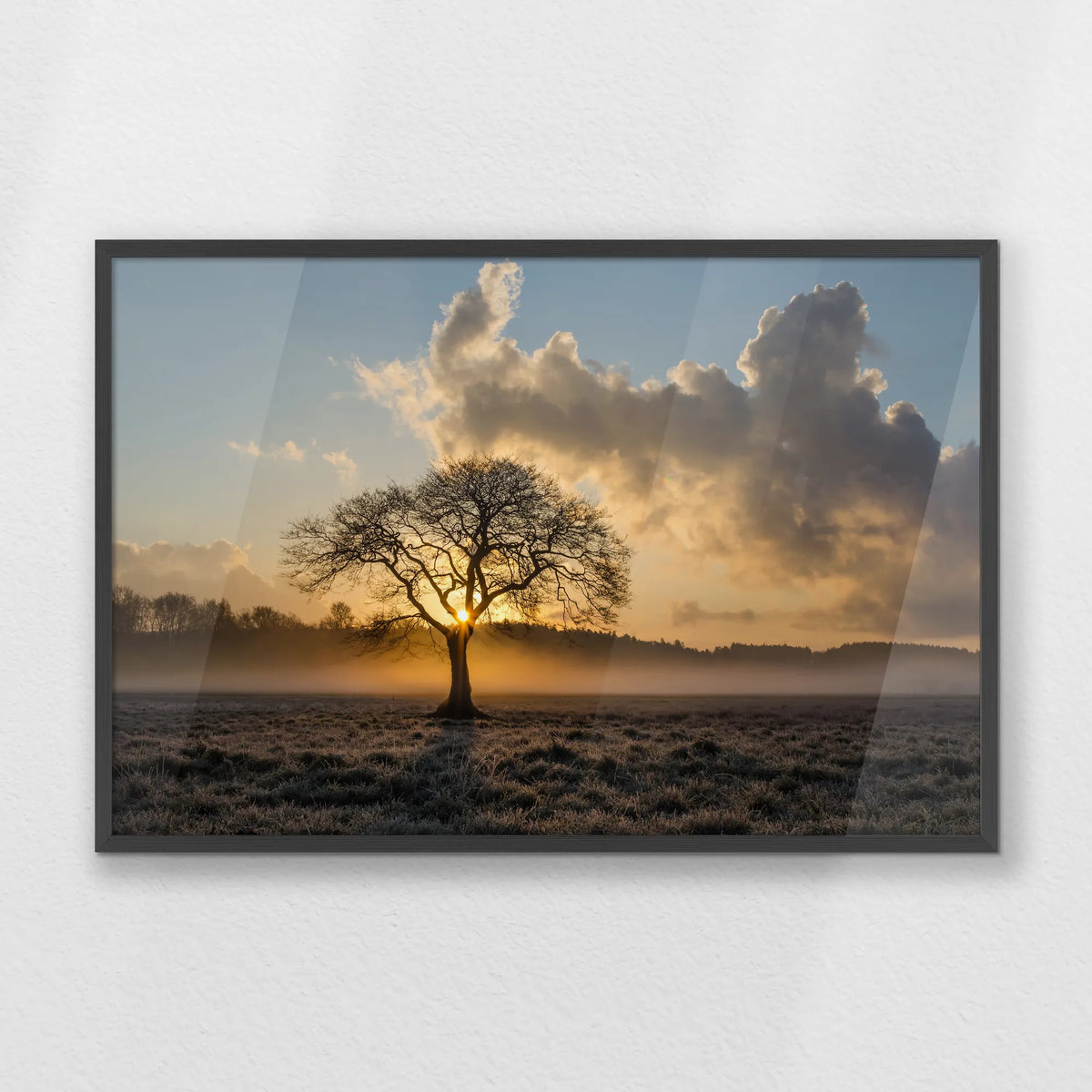 PK-093W062