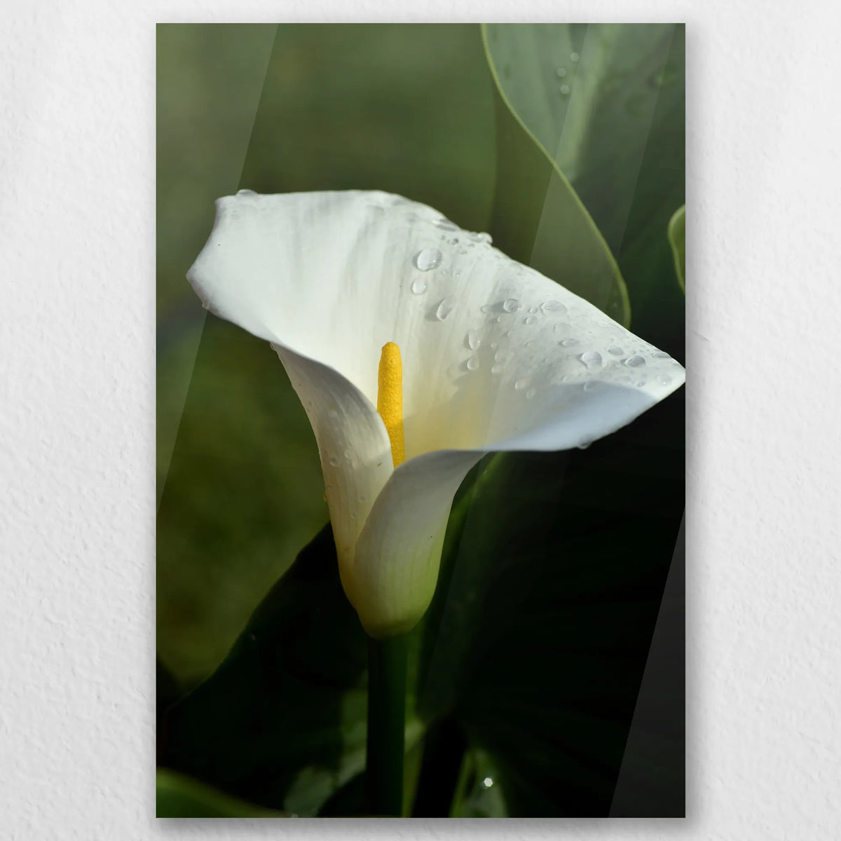 AC-030W045