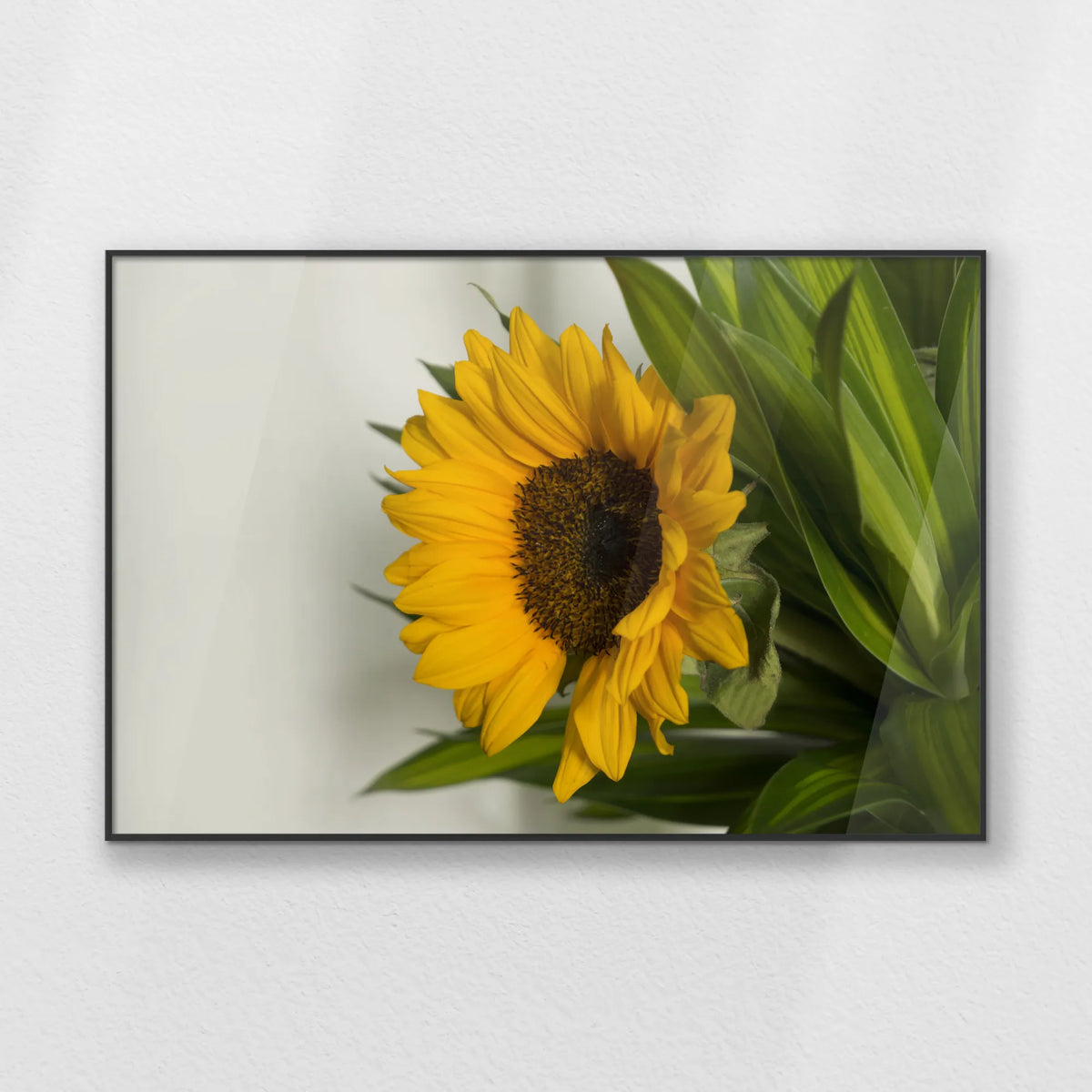 PB-100W070