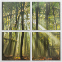 AC-120V120