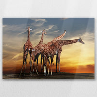 AL-060W040