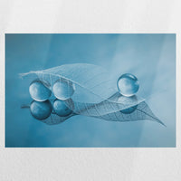 PO-030W020