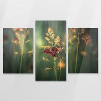 AC-120T080