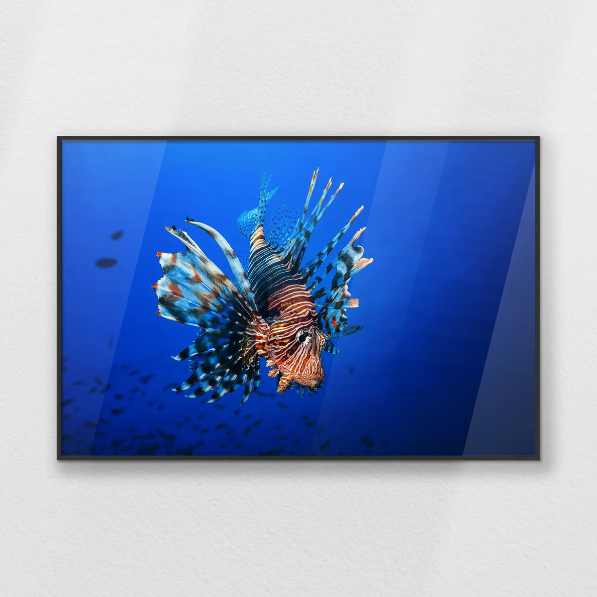 PB-093W062