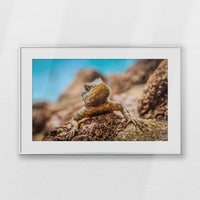 PSP093W062