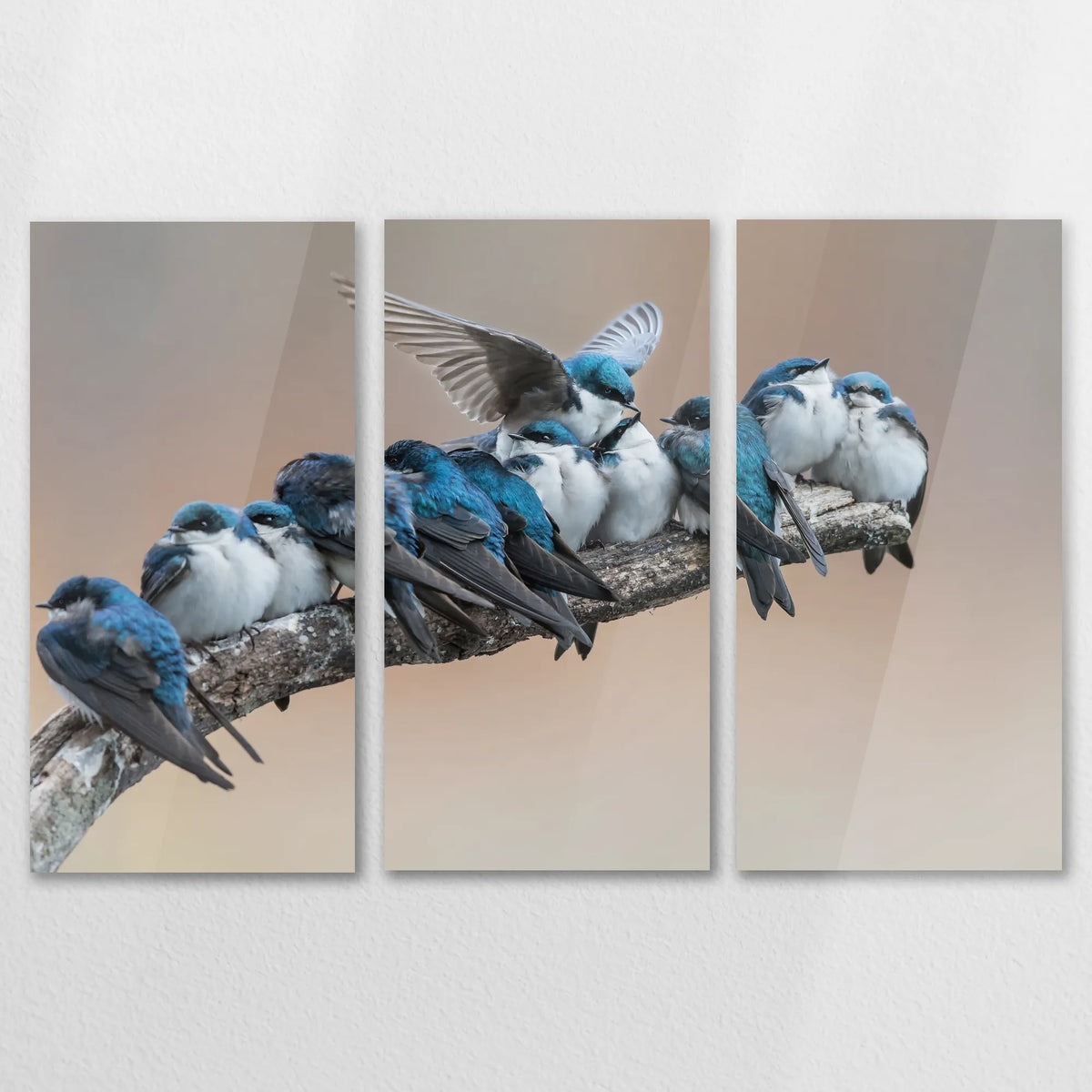 AC-150R100