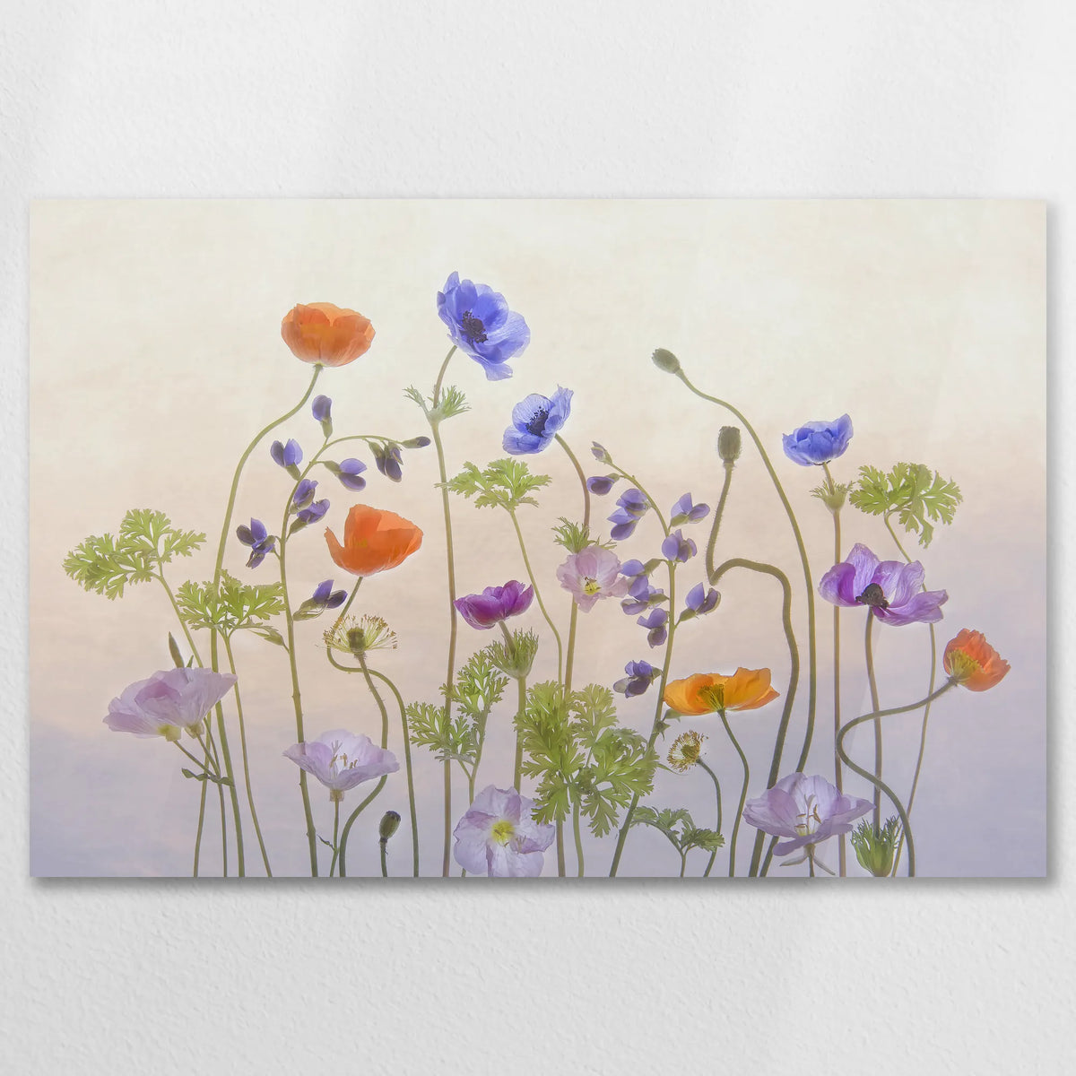AC-075W050