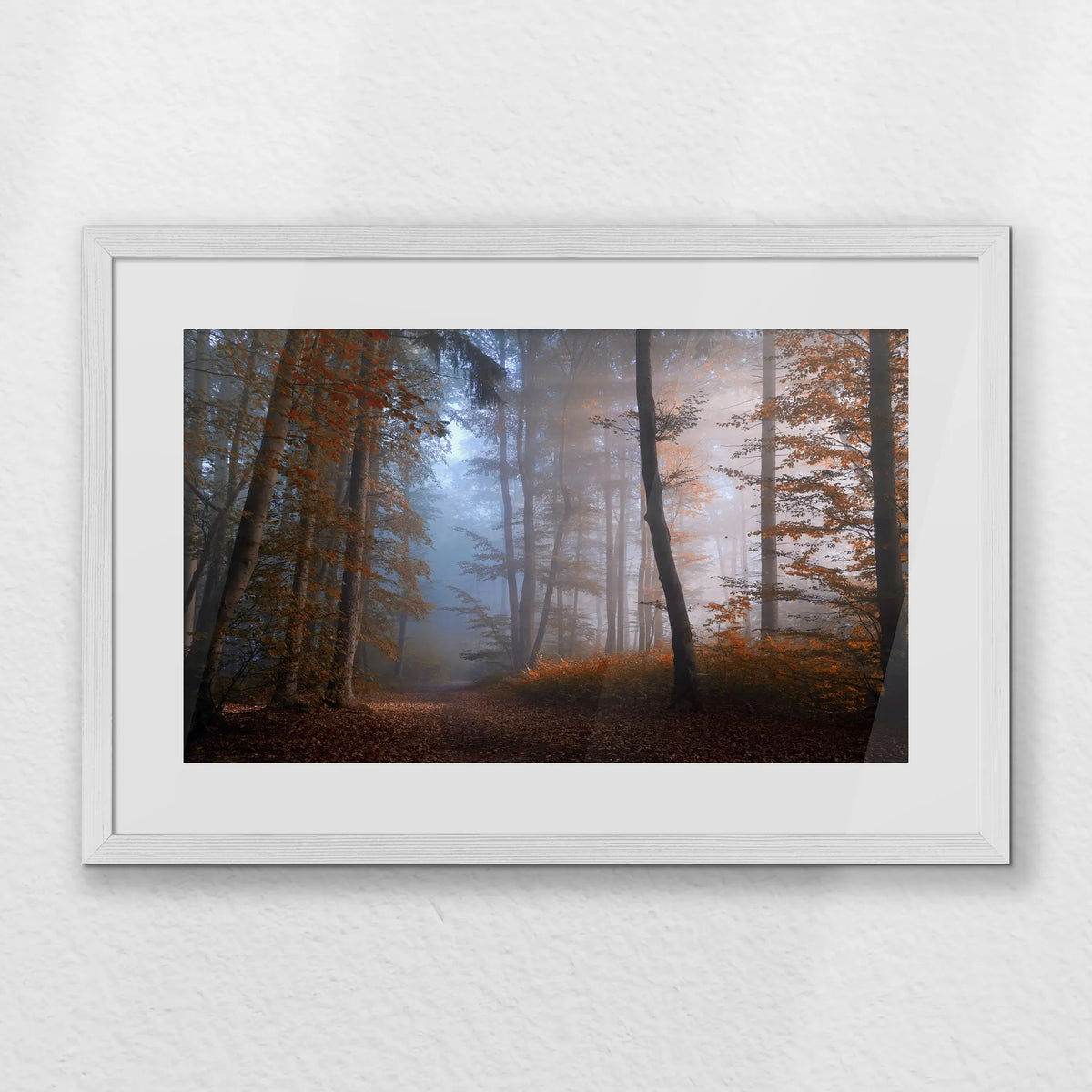 PWP060W040