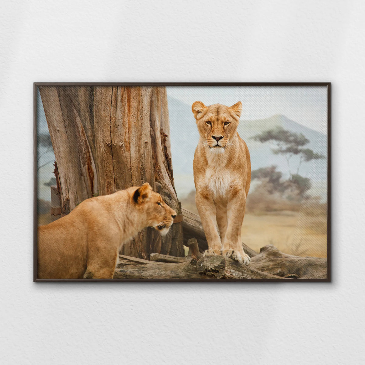 LWN120W080