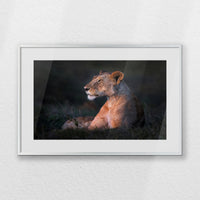 PSP060W040