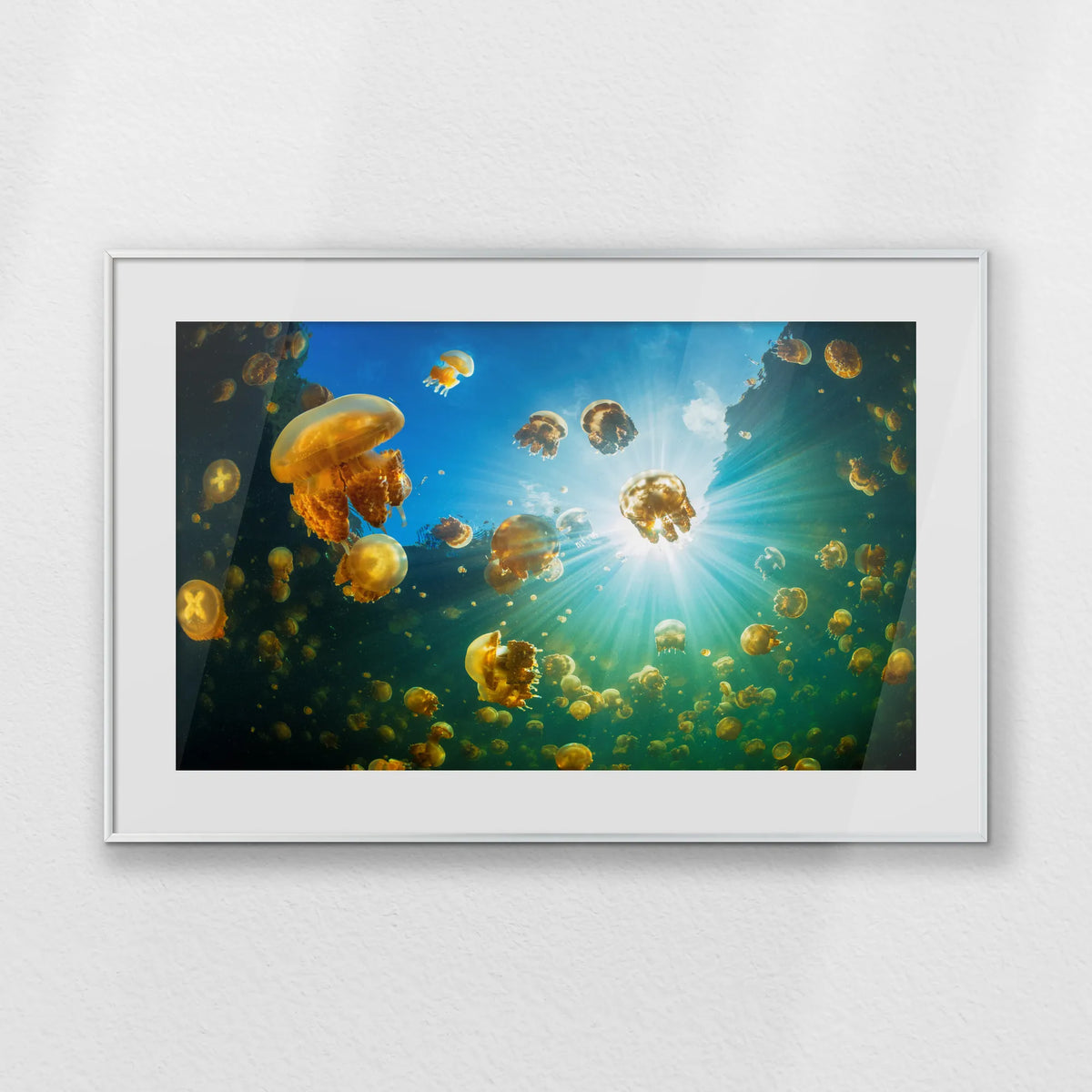 PSP093W062