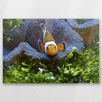 AC-030W020