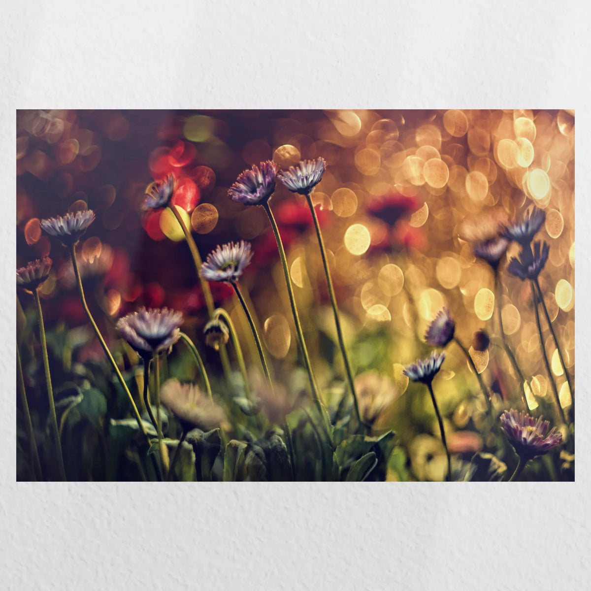 PO-060W040