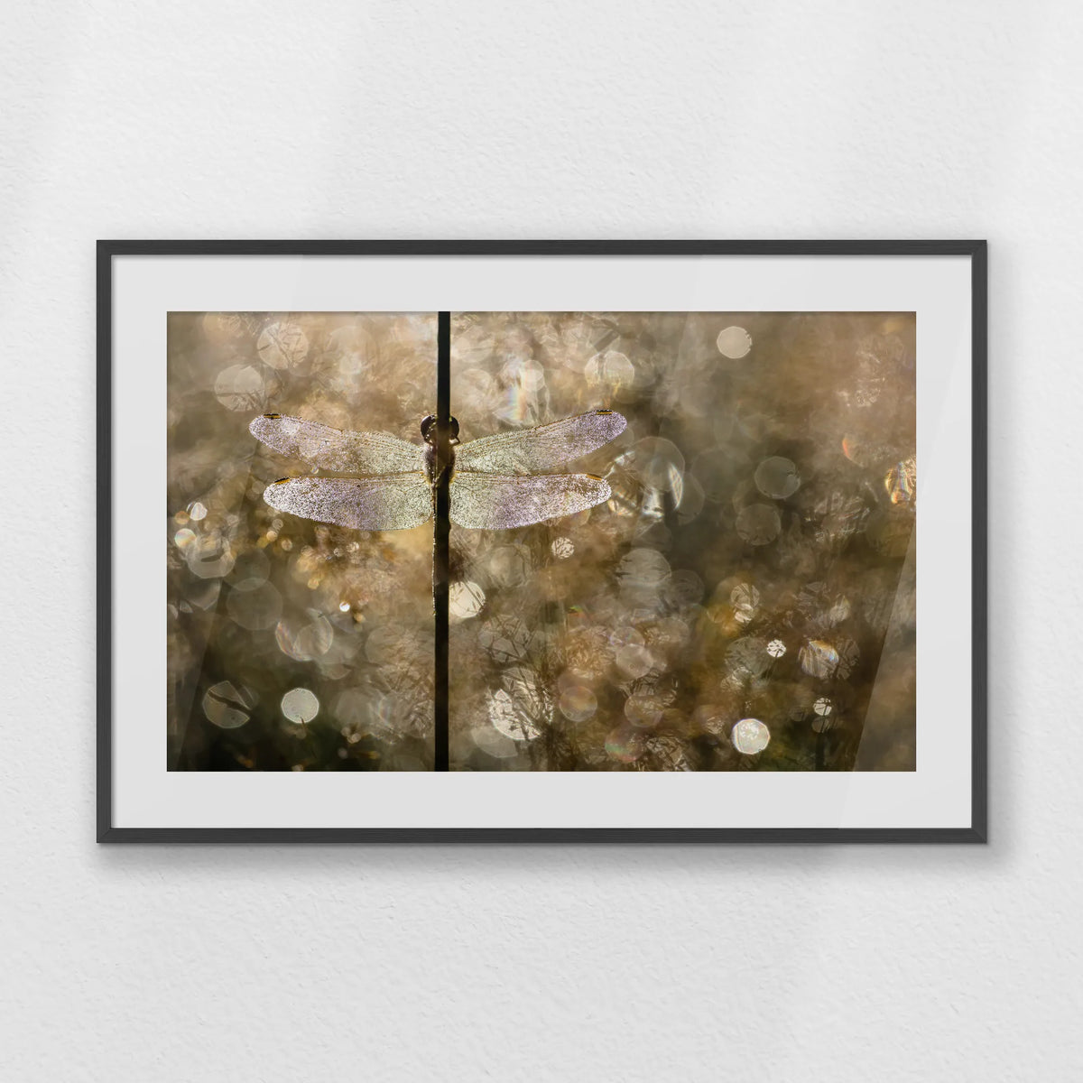 PKP100W070