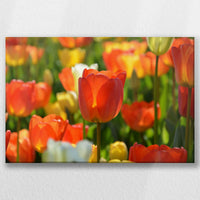 LW-060W040