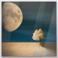 AC-030W030