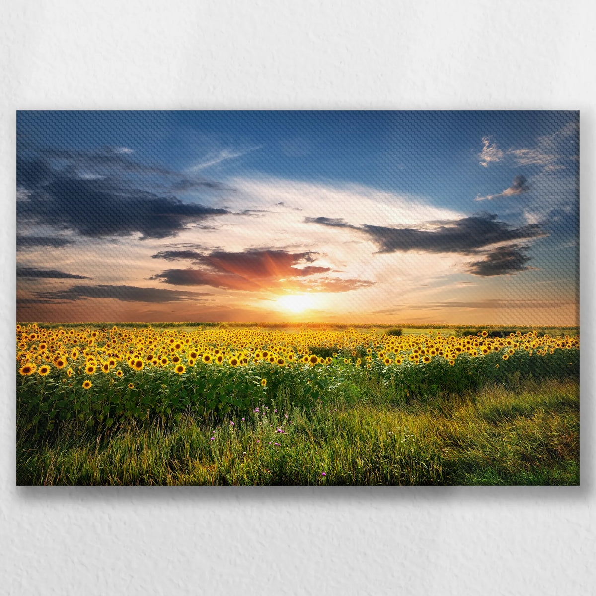 LW-045W030