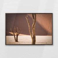LWN120W080