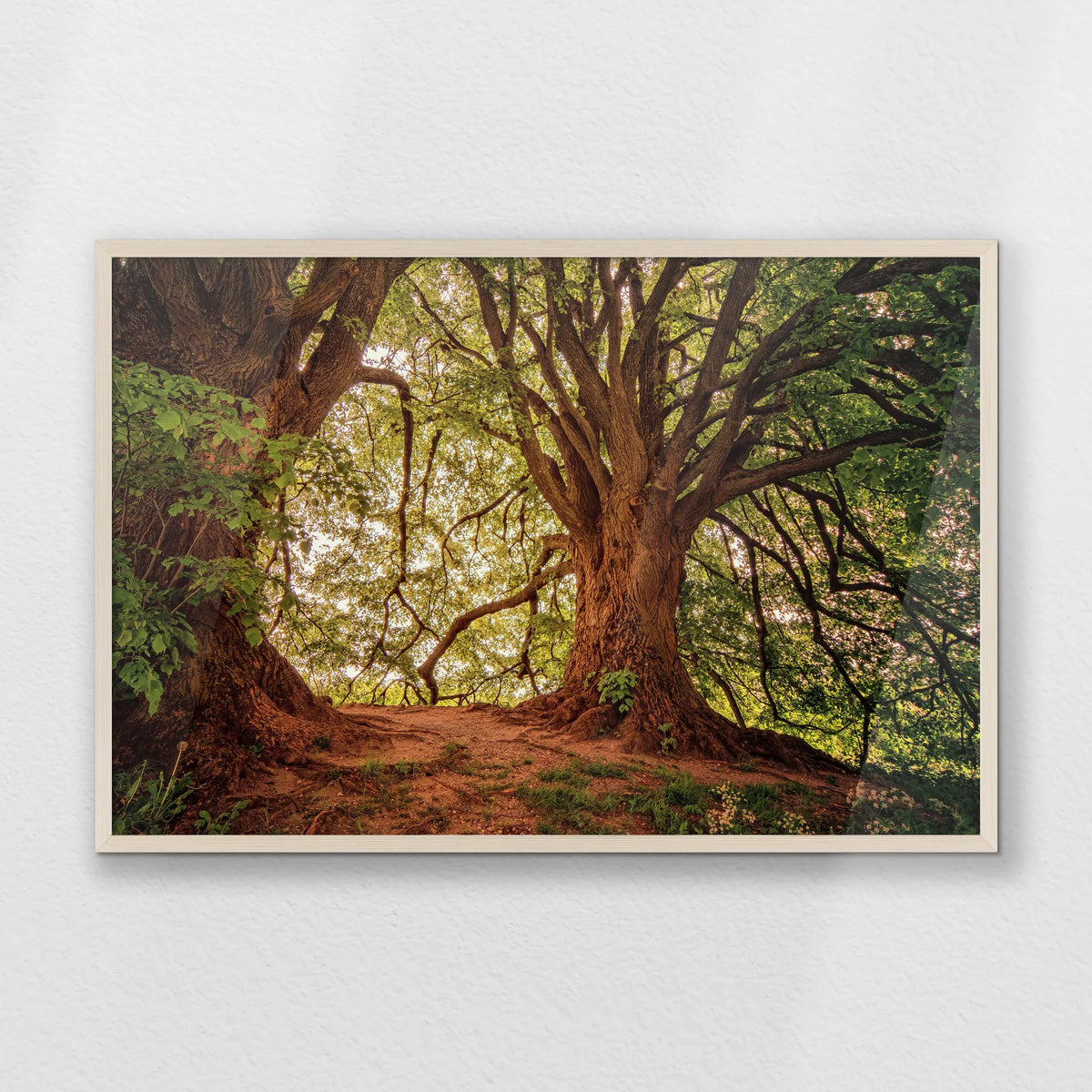 PN-093W062