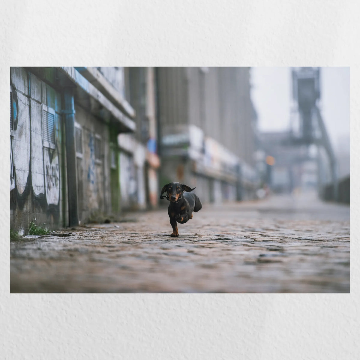 PO-030W020