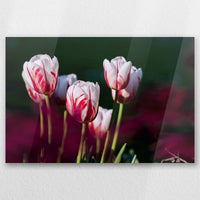 AC-060W040