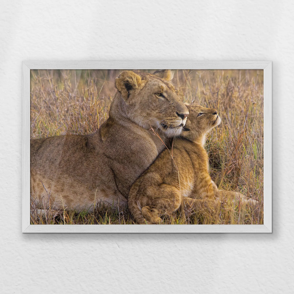 PW-060W040