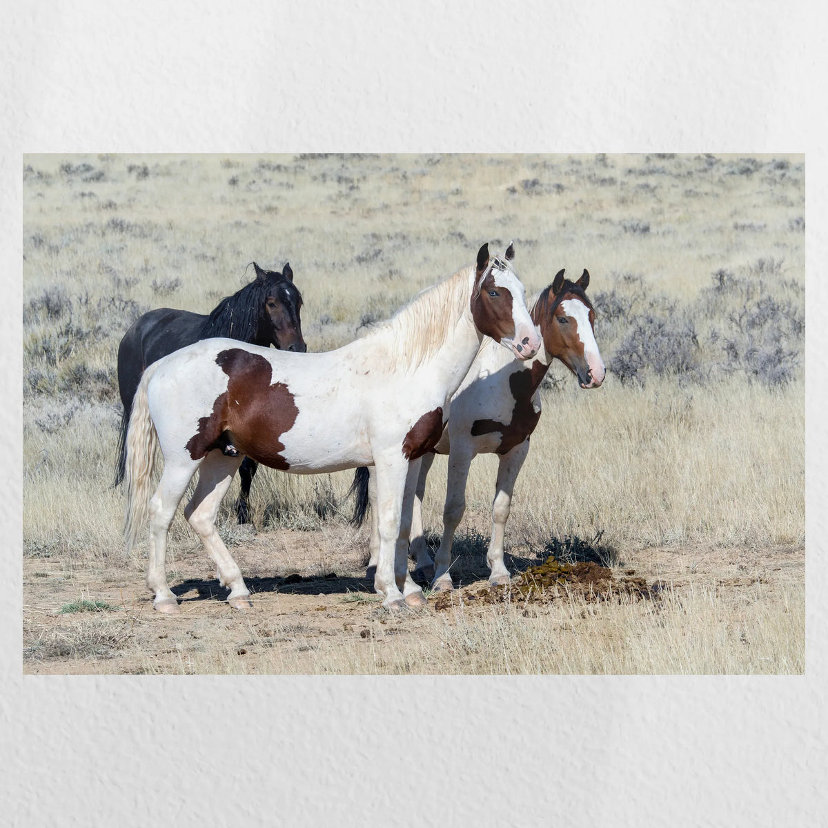 PO-045W030
