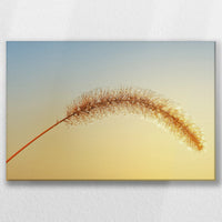 LW-045W030