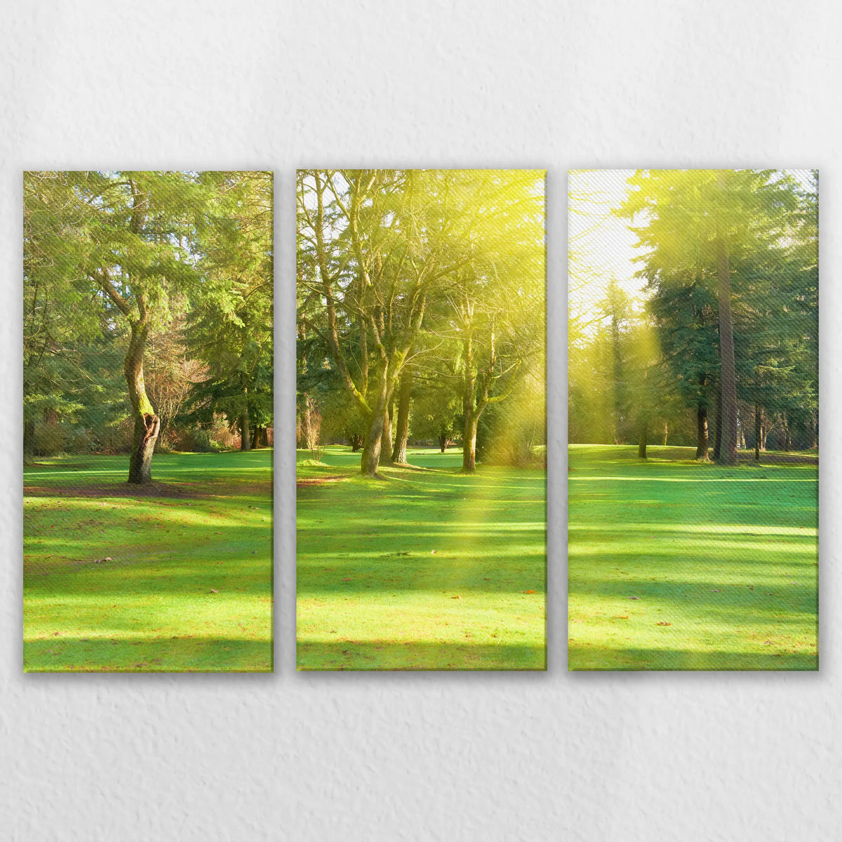 LW-120R080