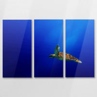 AL-090R060
