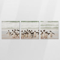 AL-240S080