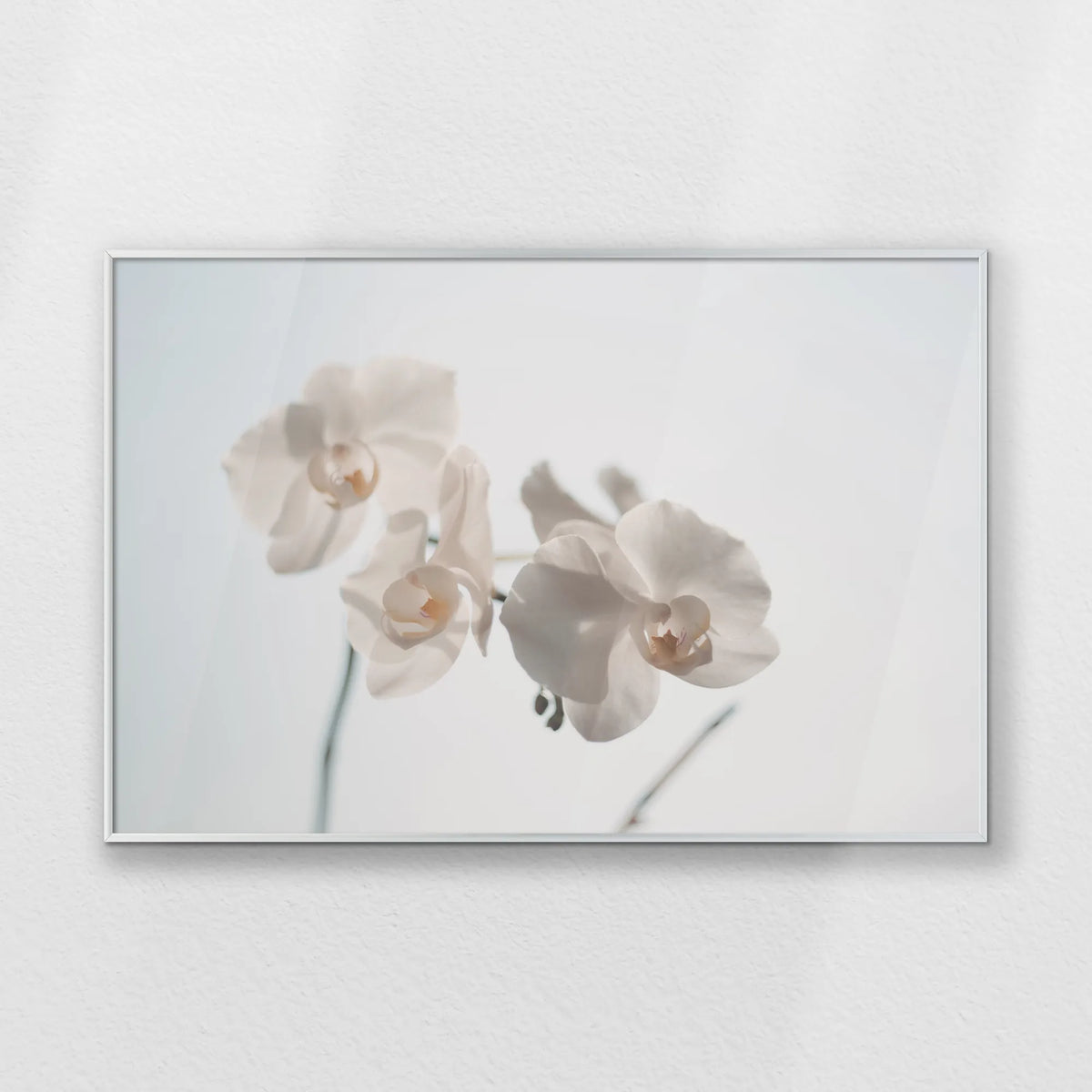PS-093W062
