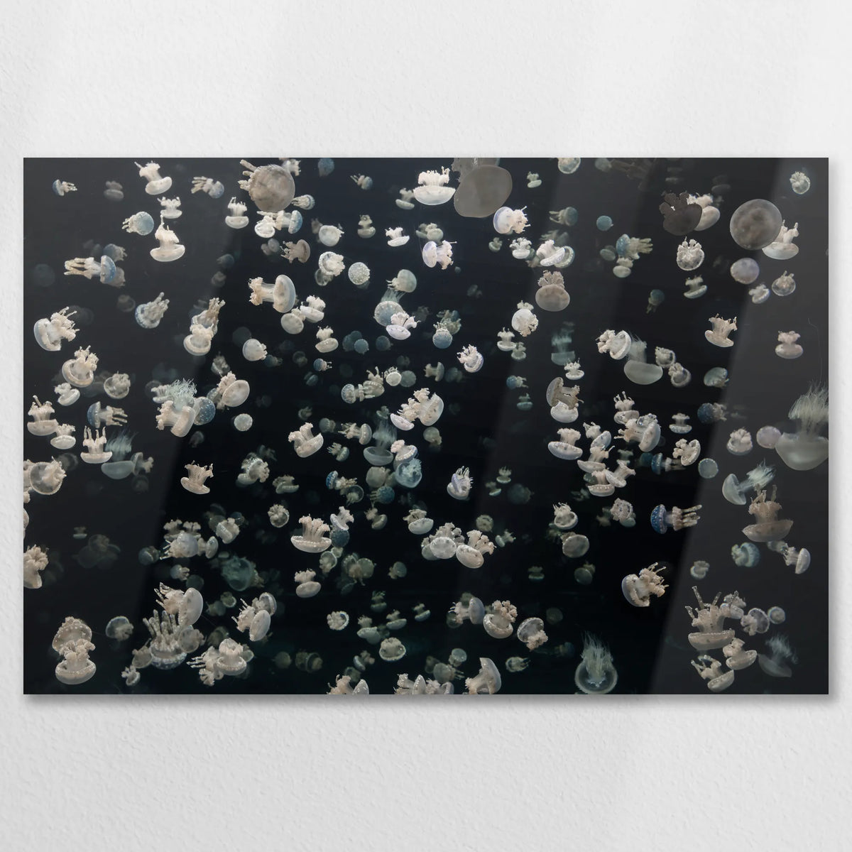 AL-090W060