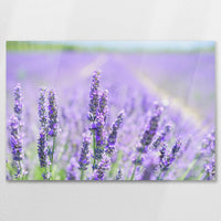 AC-090W060