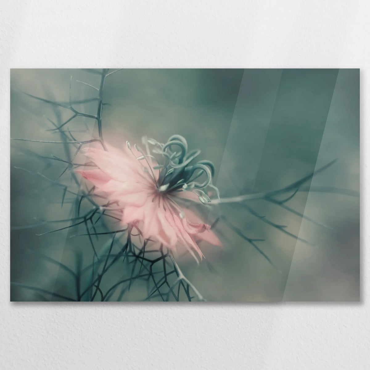 AC-075W050