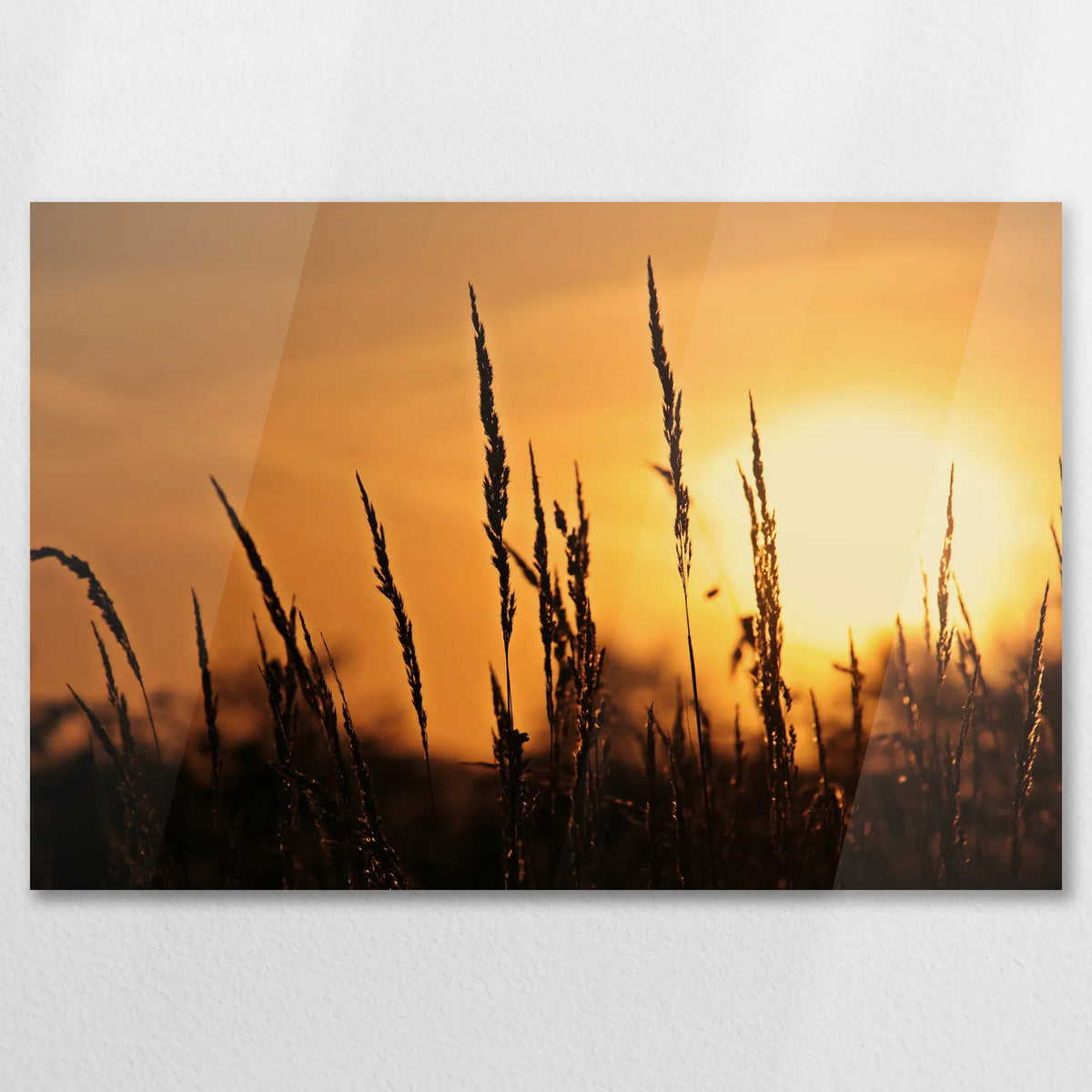 AC-075W050