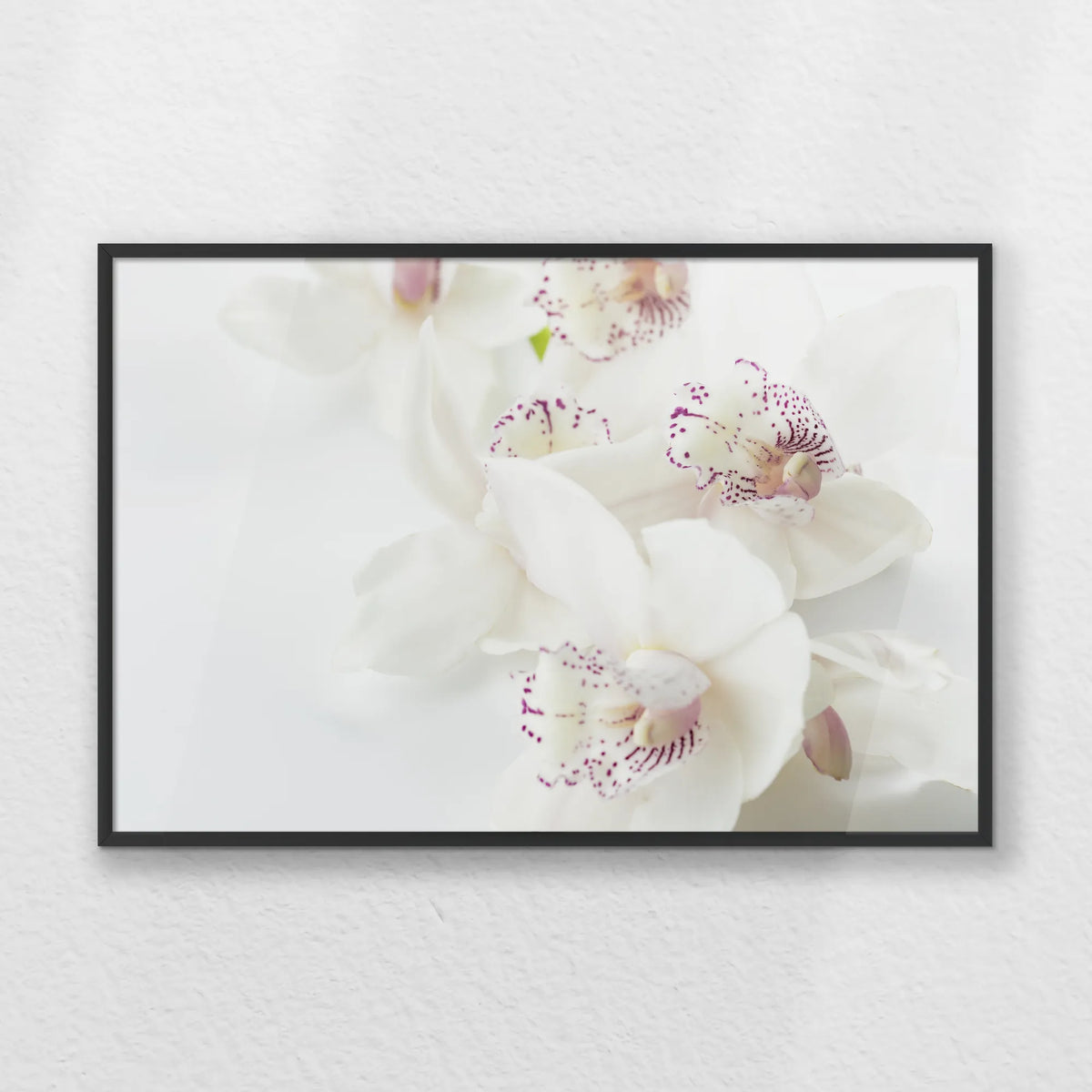 PB-060W040