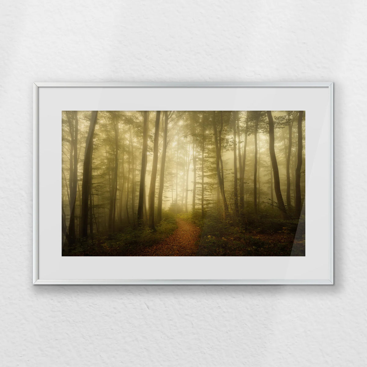 PSP060W040