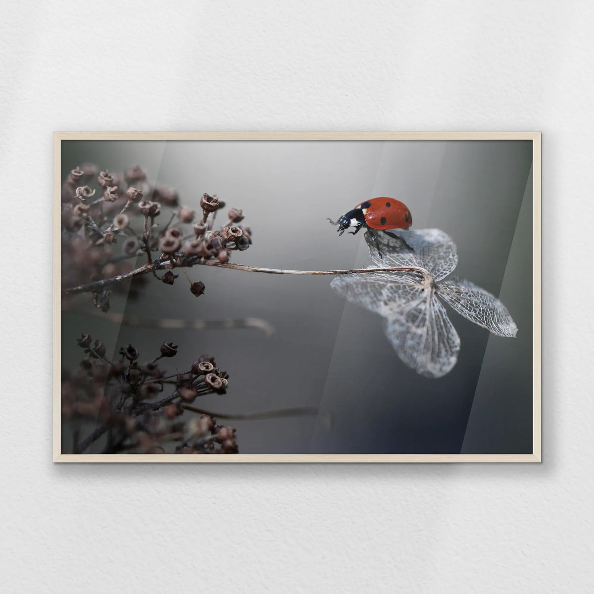 PN-100W070